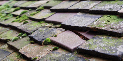 Wonastow roof repair costs